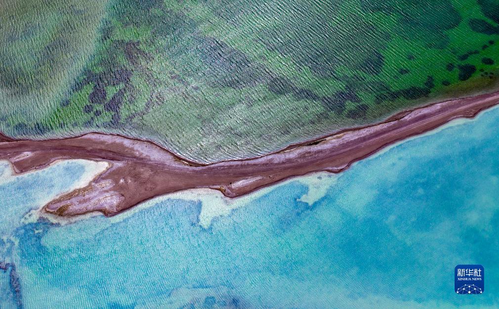 新澳门线路检测